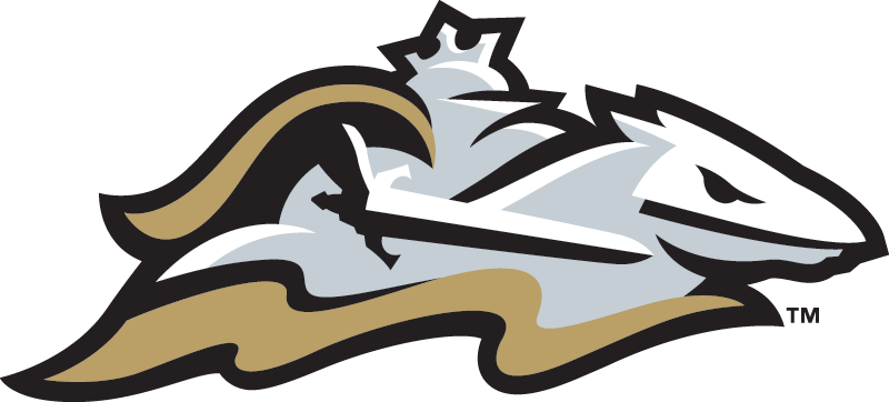 Charlotte Knights 2014-Pres Alternate Logo v4 iron on transfers for T-shirts